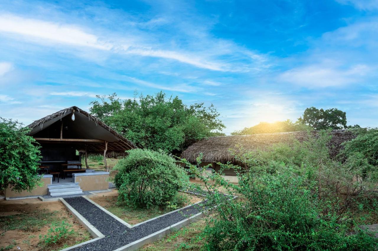 Yala Wild Hut - Yala Hotel ทิซซามาฮารามา ภายนอก รูปภาพ