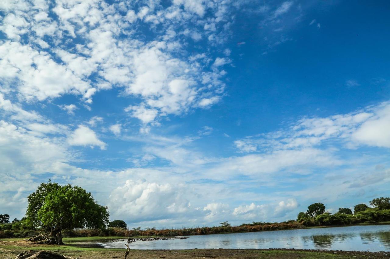Yala Wild Hut - Yala Hotel ทิซซามาฮารามา ภายนอก รูปภาพ