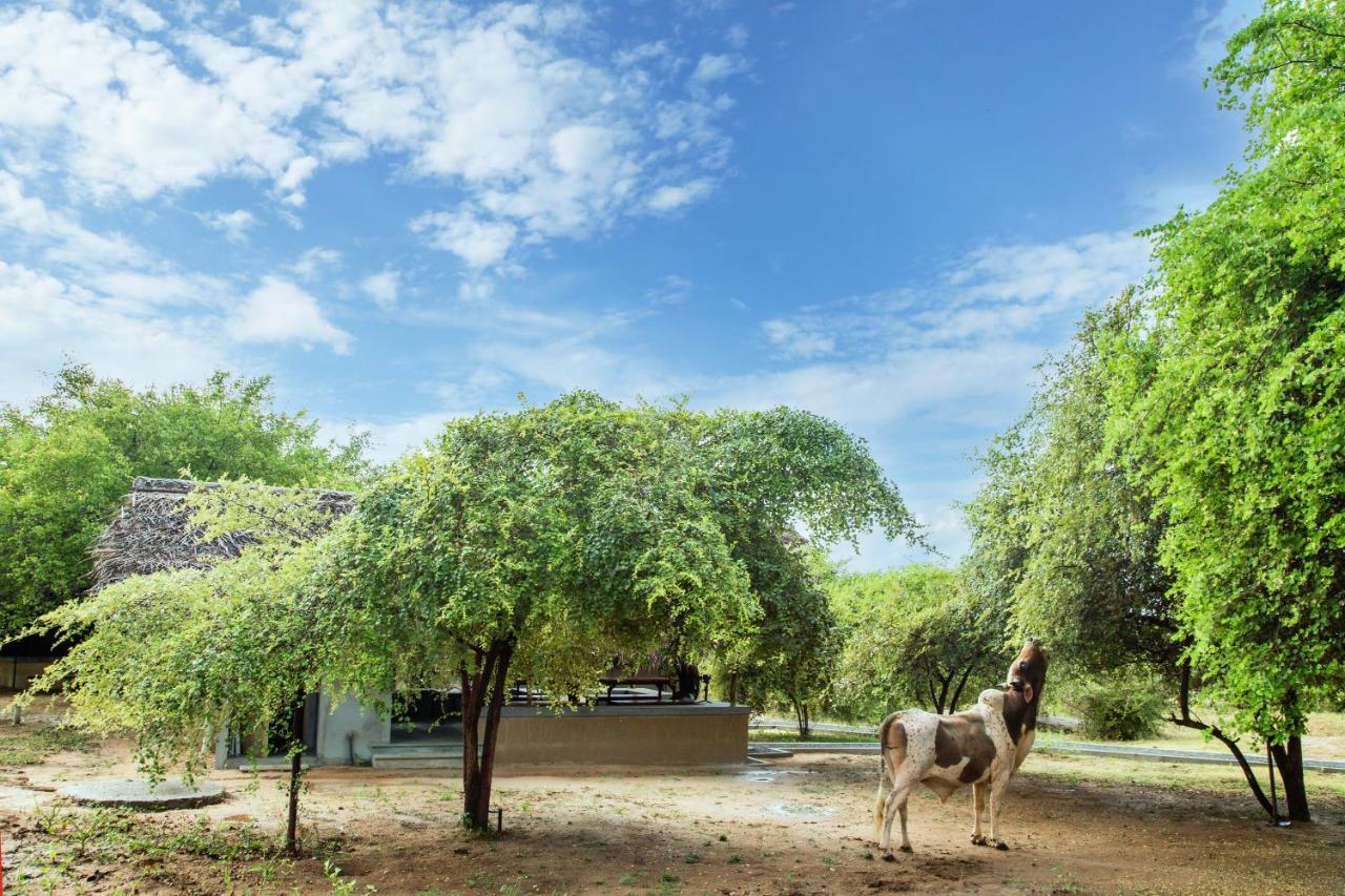 Yala Wild Hut - Yala Hotel ทิซซามาฮารามา ภายนอก รูปภาพ